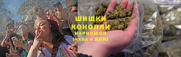 бошки Новозыбков