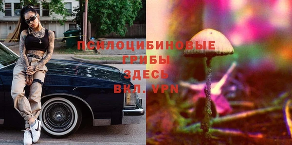 спиды Сосновка