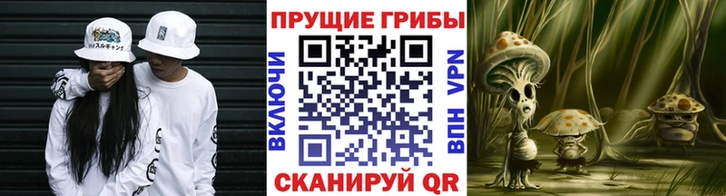 Галлюциногенные грибы мухоморы  Санкт-Петербург 