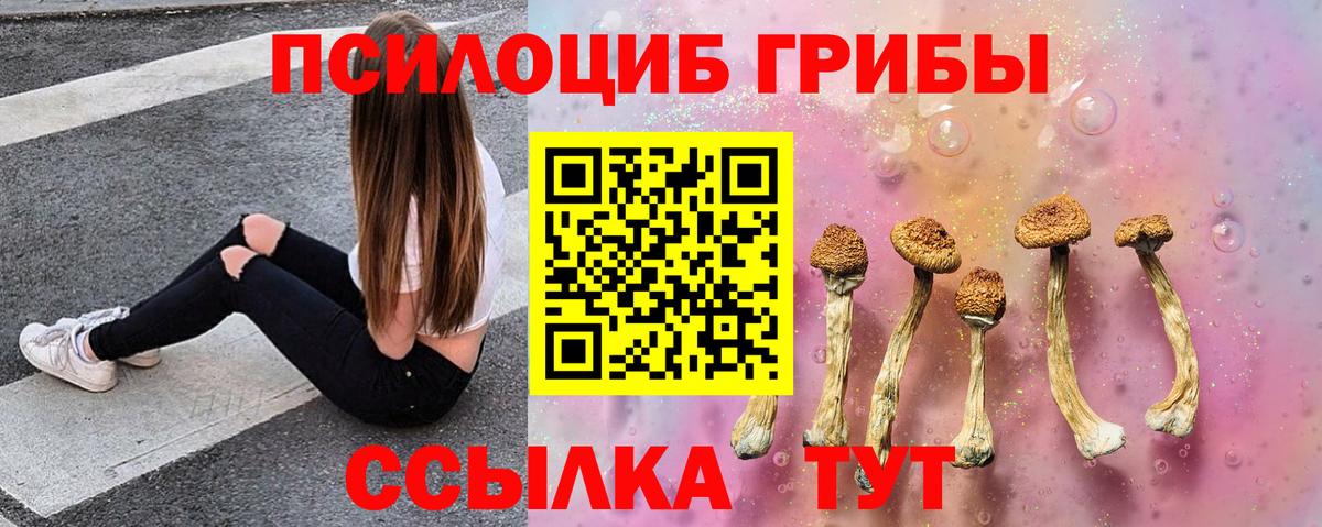 Псилоцибиновые грибы MAGIC MUSHROOMS Санкт-Петербург