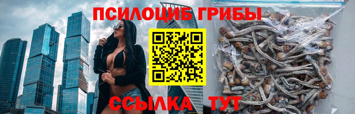 Санкт-Петербург  Галлюциногенные грибы GOLDEN TEACHER  купить наркотик  Галлюциногенные грибы Cubensis  Вход с VPN 